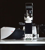 CLSM-Mikroskop