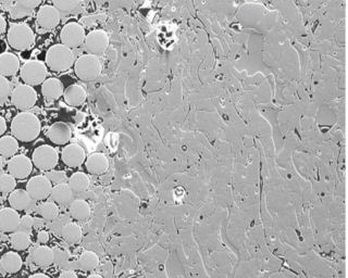 Mikroskopische Aufnahme einer plasmagespritzten Korrosionsschutzschicht