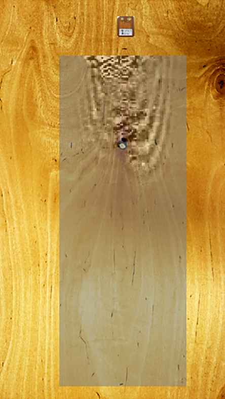 Mittels Sensor (oben) und Reflektorfolie (graue Fläche) wird das Holzfurnier zerstörungsfrei untersucht. Die Ausbreitung der Ultraschallwellen innerhalb der Furnierblätter gibt Aufschluss über Schwachstellen im Werkstoff.
