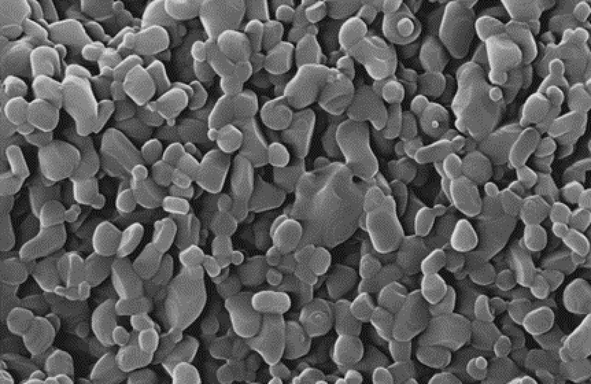 Microscopic view of porous grain ceramics.