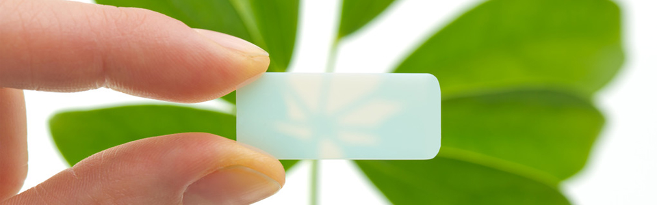 Semi-transparent, white mini ceramic plate that is held in front of a plant with two fingers to show the transparency.